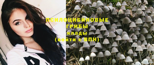 2c-b Иннополис